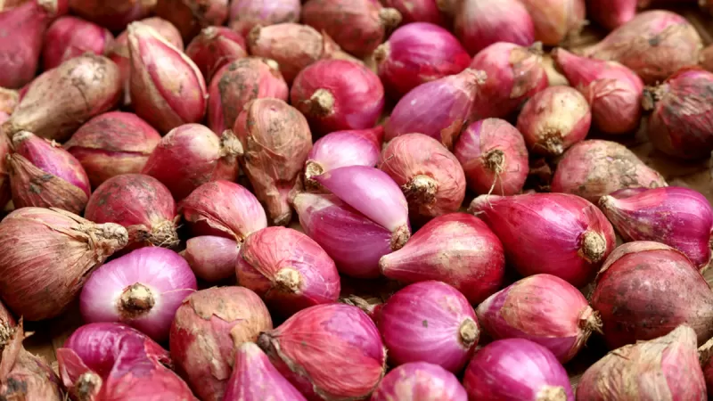 Bawang Merah